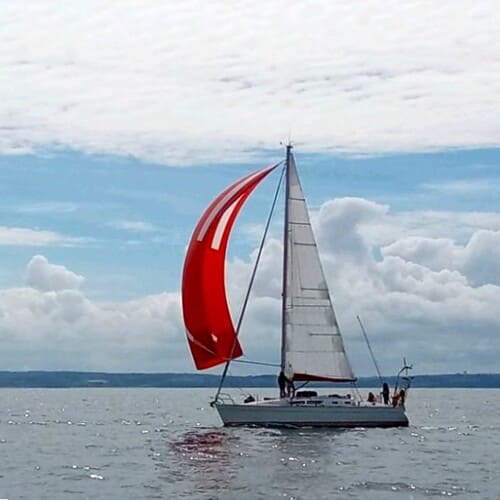 manoeuvres(1)